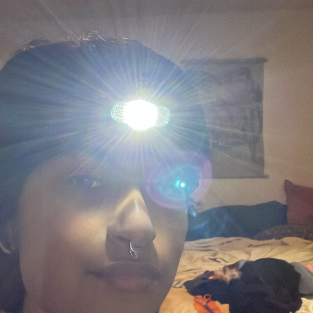 Meet your Posher, Frances